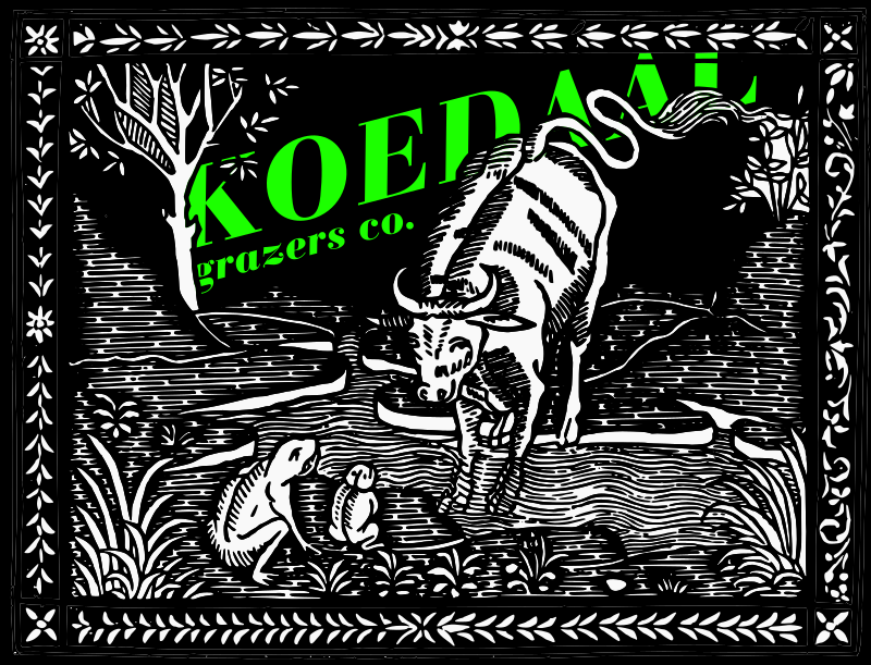 Logo of the Koedaal Grazers Co. featuring a cow talking to frogs